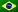 PORTUGUESE